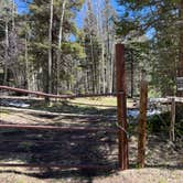 Review photo of Rio Fernando de Taos - Forest Rd 5 by Meghan B., May 12, 2025