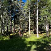 Review photo of Rio Fernando de Taos - Forest Rd 5 by melissa B., June 18, 2026
