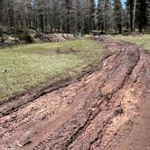 Review photo of Rio Fernando de Taos - Forest Rd 5 by Meghan B., May 12, 2025