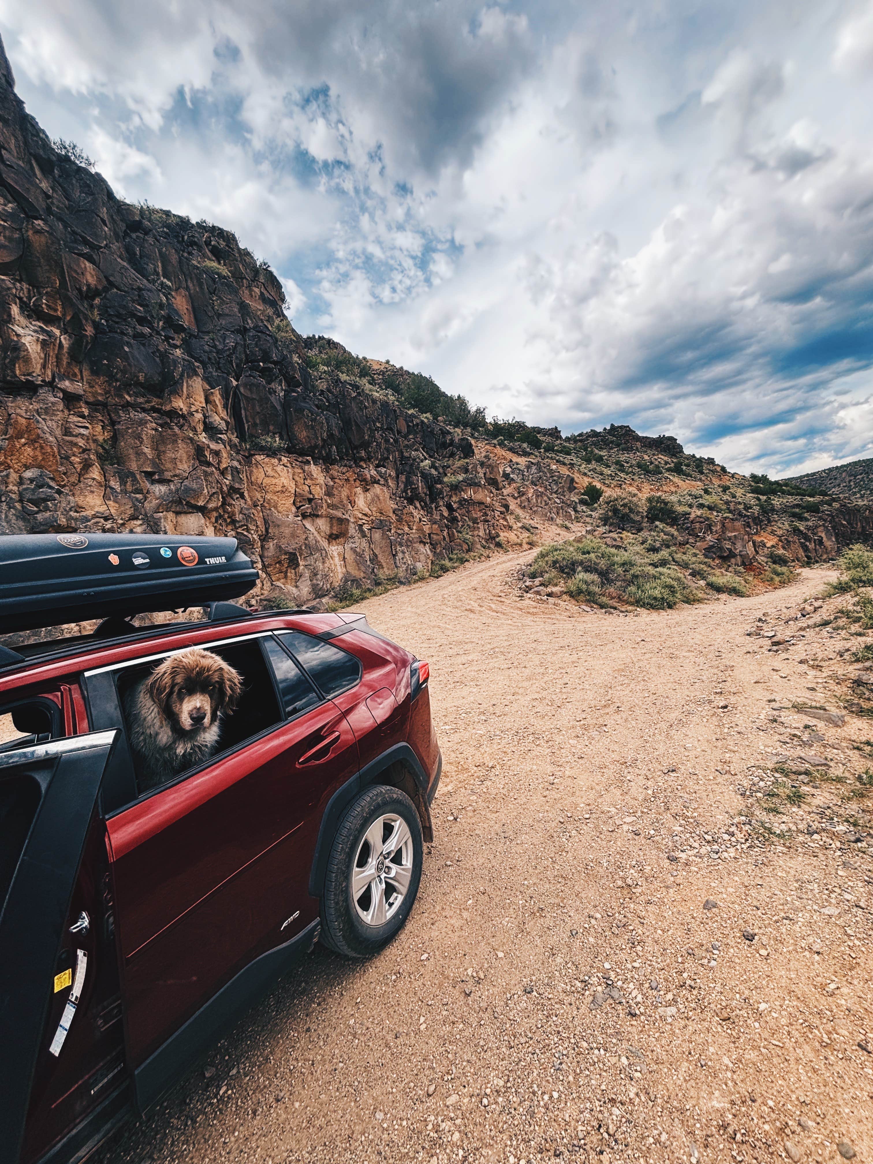 Camper-submitted photo at Rio Grande Bridge Overlook near Carson National Forest