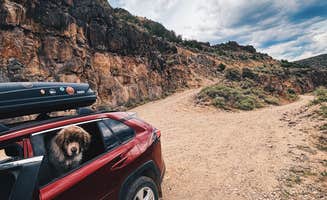Nora S.'s photo of camping with pets at Rio Grande Bridge Overlook near Ojo Caliente, NM