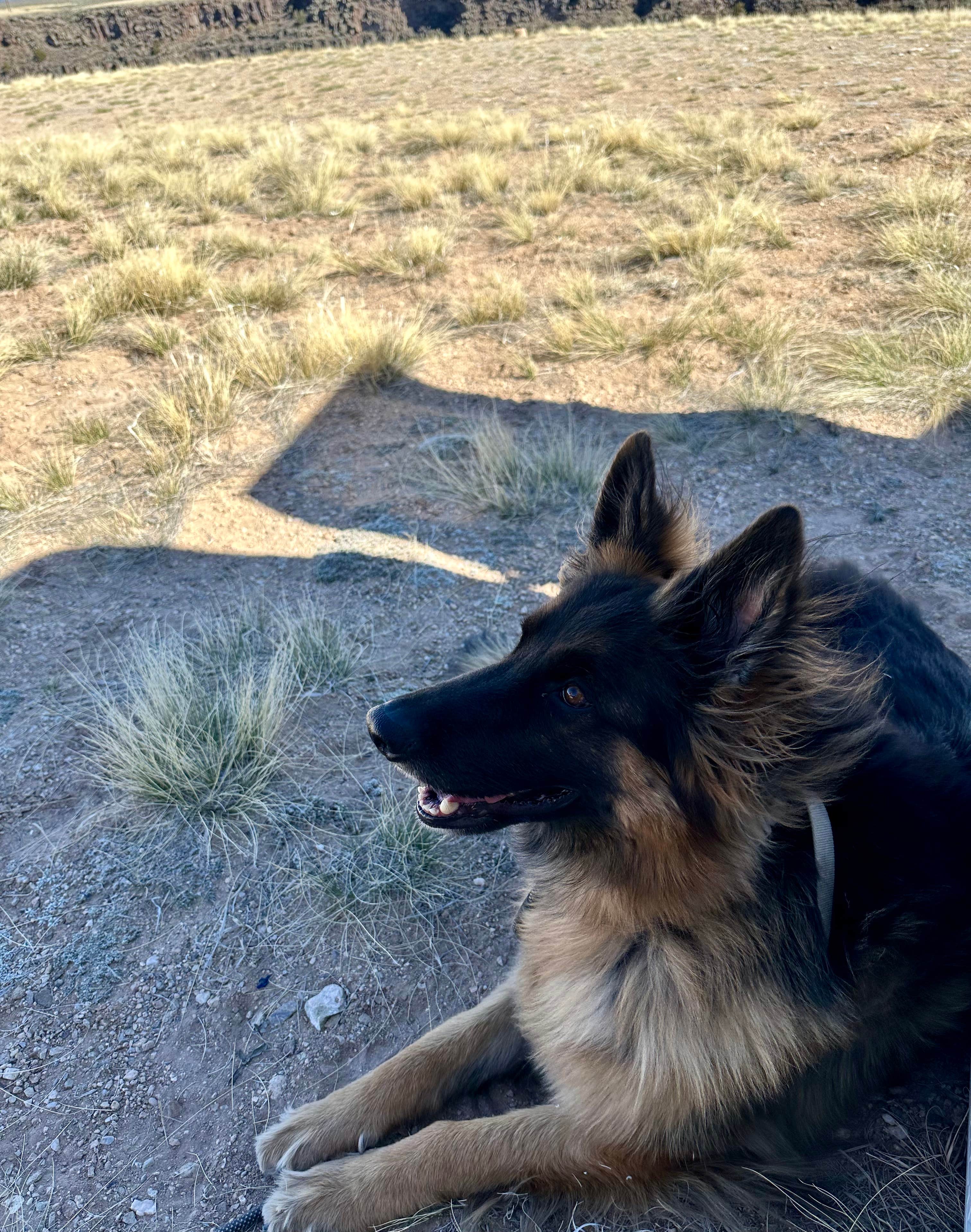 Camper-submitted photo at Rio Grande Gorge BLM near Valdez, NM