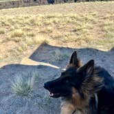 Review photo of Rio Grande Gorge BLM by Brien , March 18, 2026