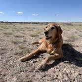 Review photo of Rio Grande Gorge BLM by Jensen S., June 1, 2026