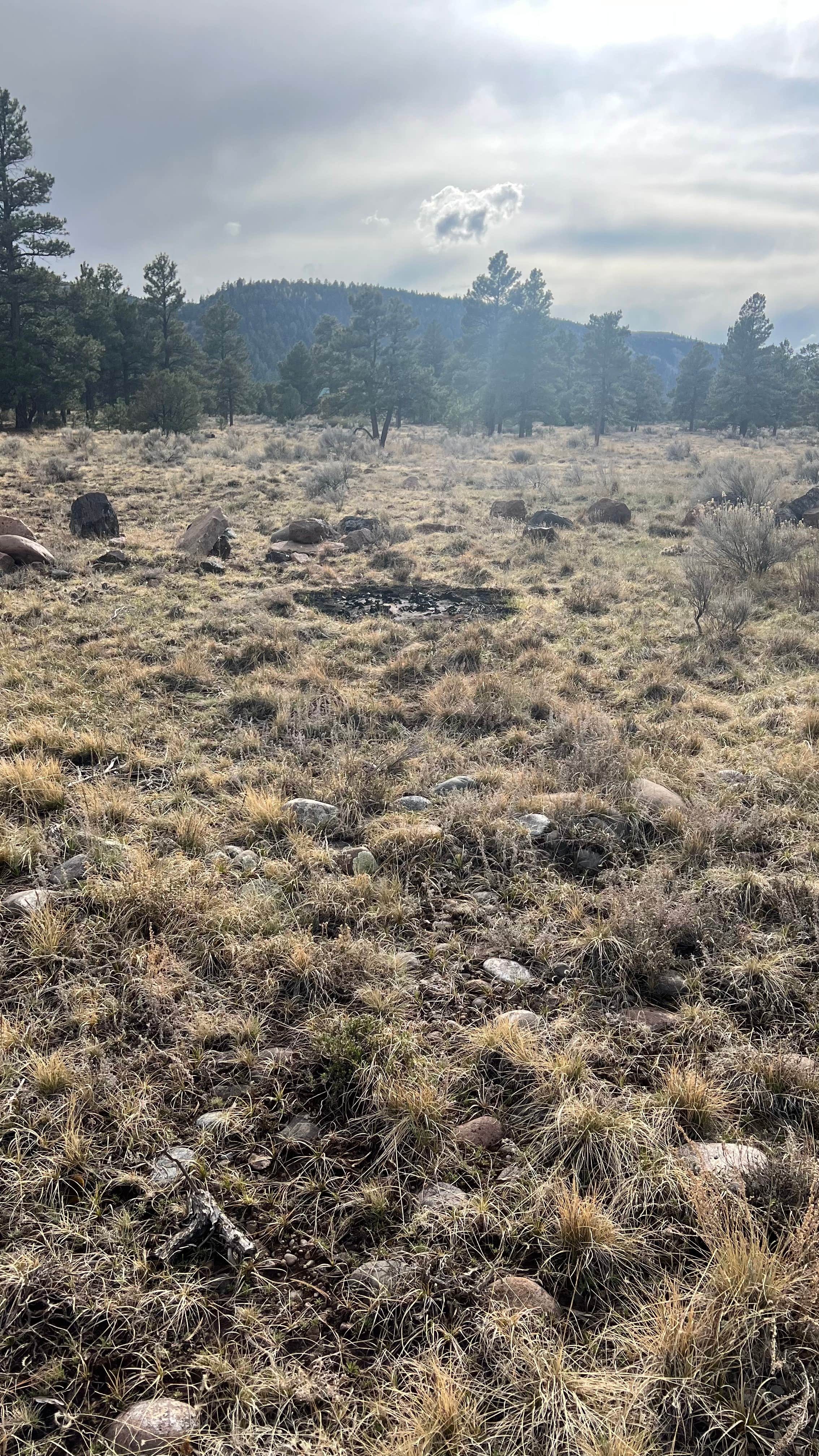Camper-submitted photo at Rio Grande National Forest Mogote Campground near Antonito, CO