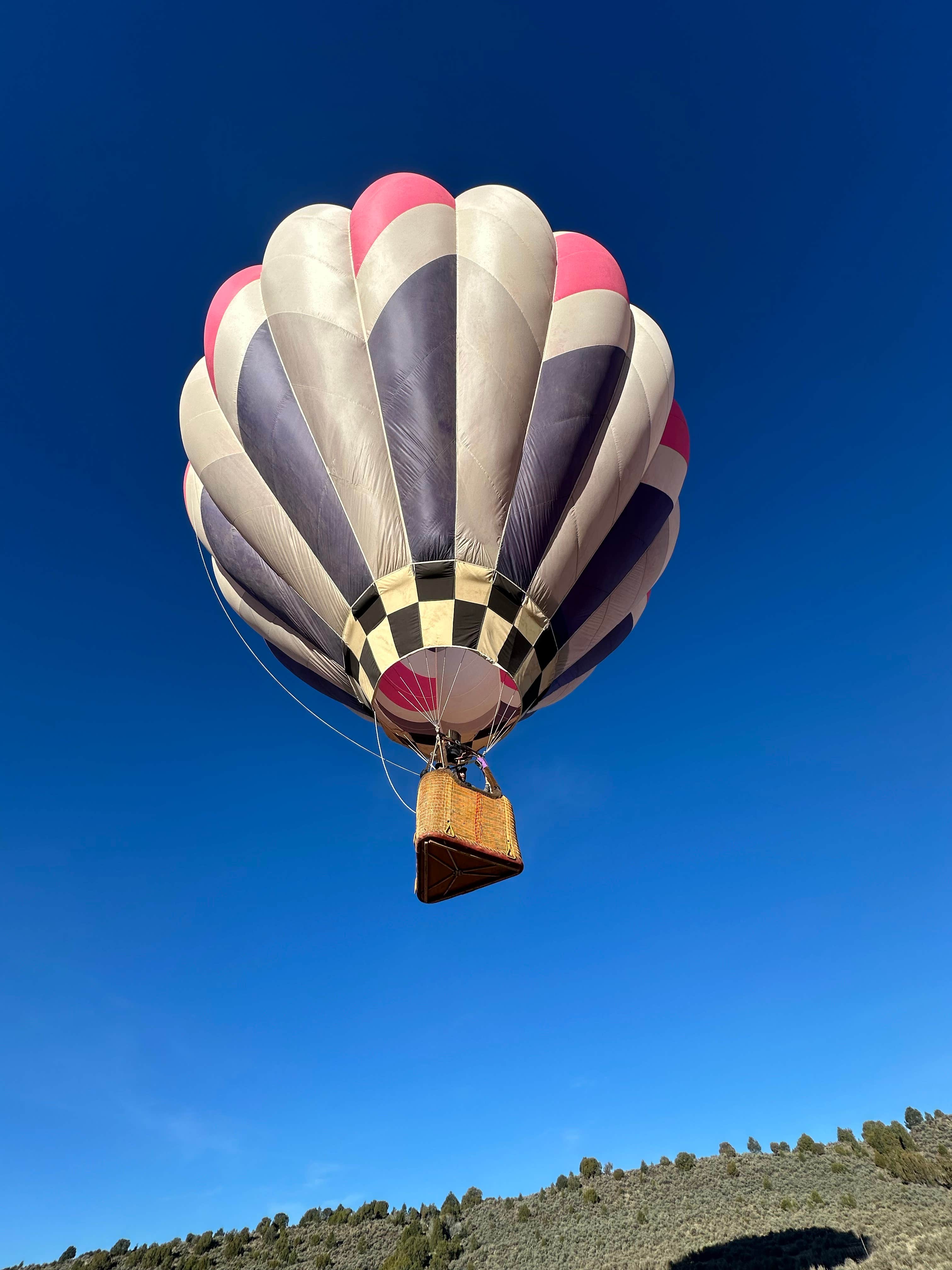 Camper-submitted photo at Rio Grande Rivercamp by John Dunn Bridge near Carson, NM