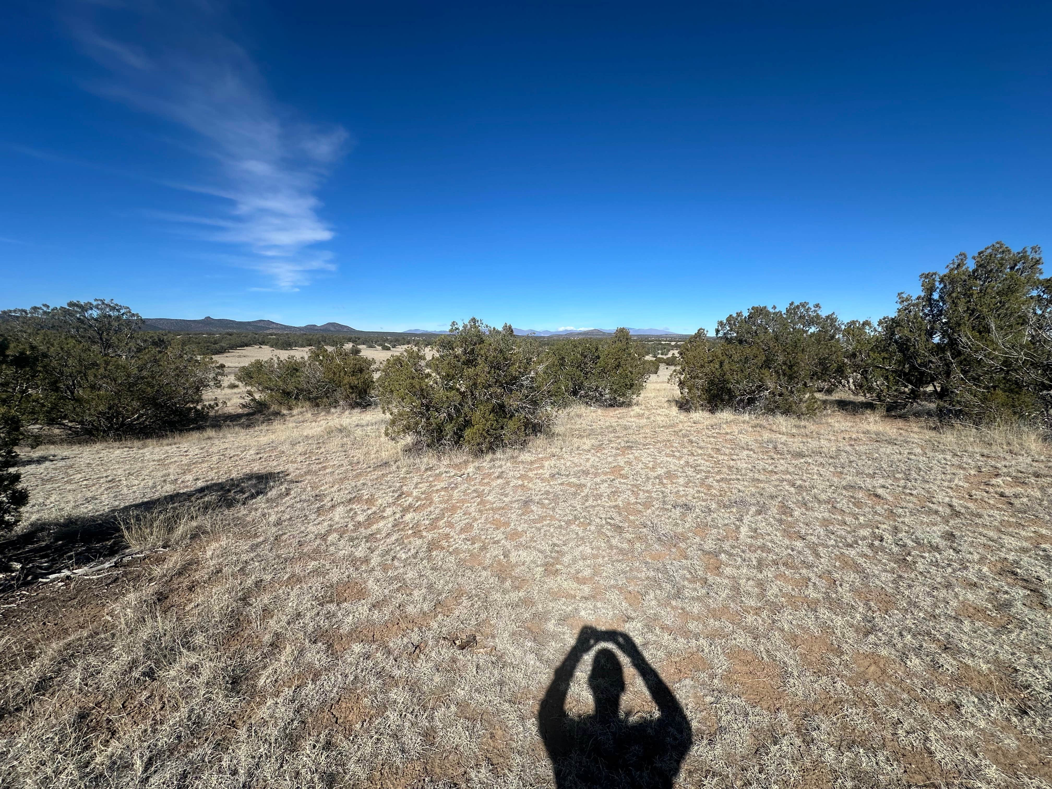 Teresa A.'s photo of a dispersed camping area at Rio Grande Rivercamp by John Dunn Bridge near Carson, NM