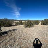 Review photo of Rio Grande Rivercamp by John Dunn Bridge by Teresa A., March 1, 2026
