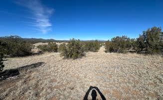 Teresa A.'s photo of a dispersed camping area at Rio Grande Rivercamp by John Dunn Bridge near Taos Ski Valley, NM