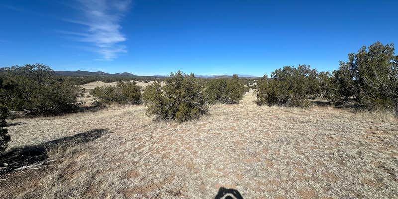 Camper submitted image from Rio Grande Rivercamp by John Dunn Bridge