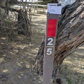 Review photo of Rio Grande Village RV Campground — Big Bend National Park by Vidalia S., December 24, 2025