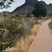 Review photo of Rio Grande Village Campground — Big Bend National Park by Ursula , January 24, 2026