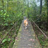 Review photo of river access with camping and park by Lauren K., September 26, 2026