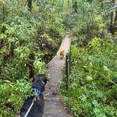 Review photo of river access with camping and park by Lauren K., September 26, 2026