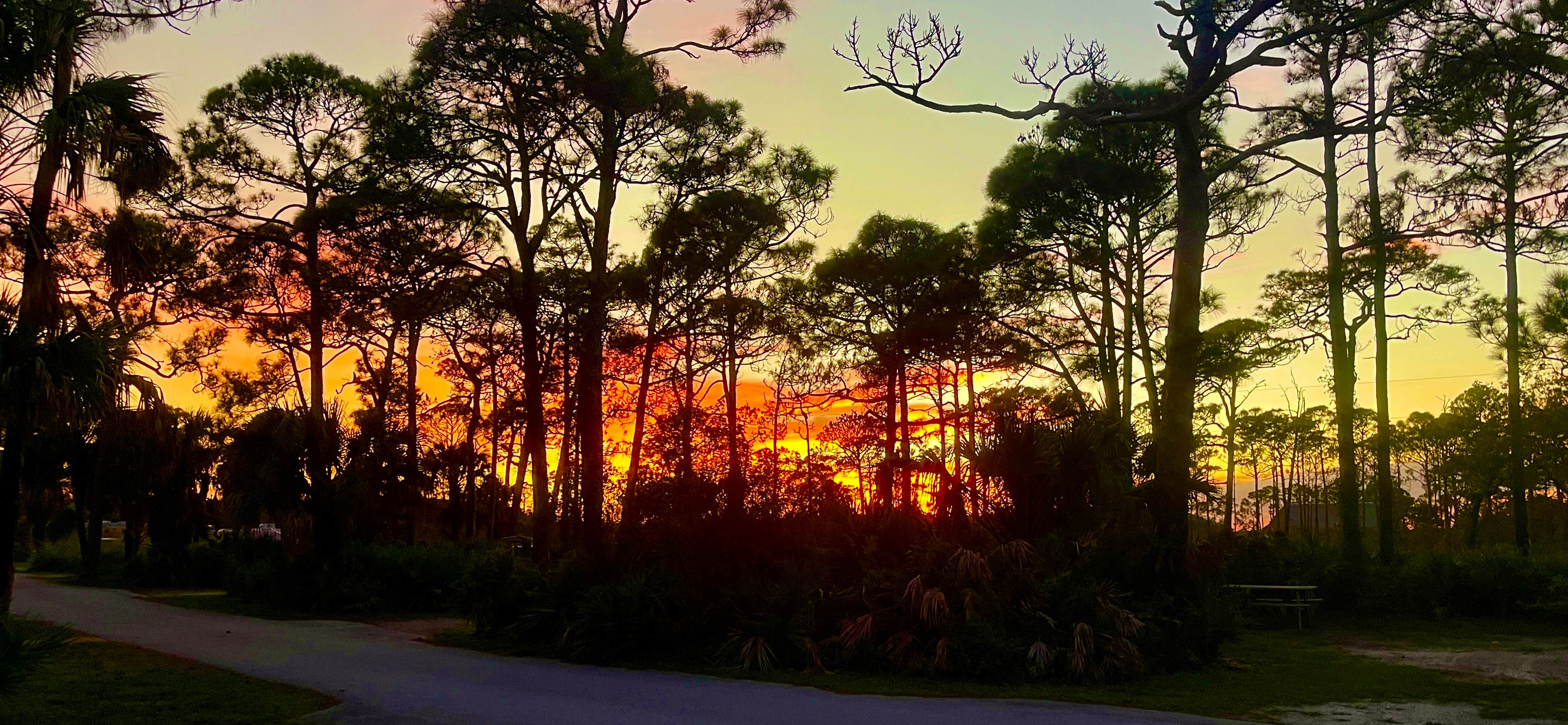 Camper submitted image from River Camground — Jonathan Dickinson State Park - 2