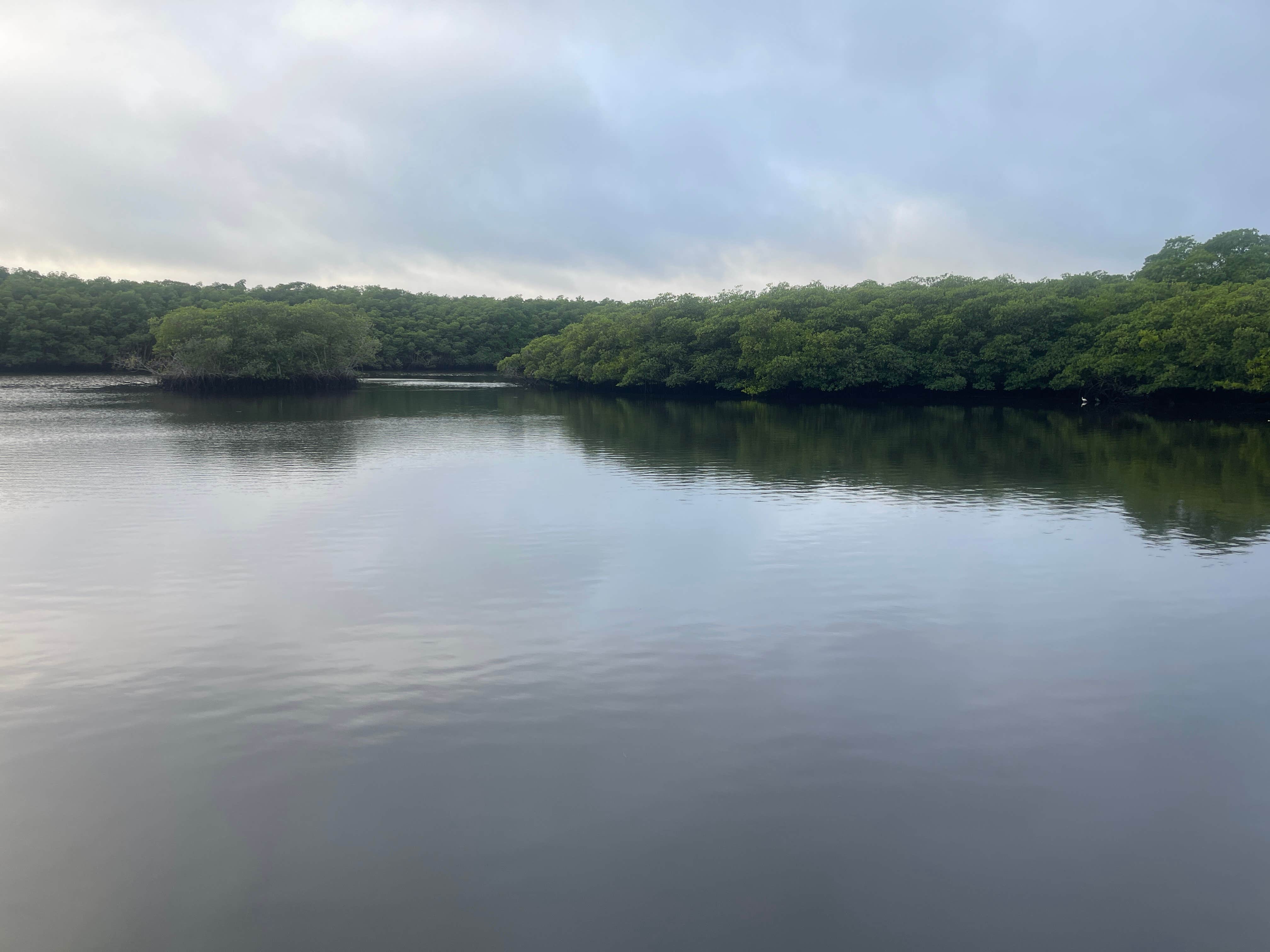 Camper-submitted photo at River Camground — Jonathan Dickinson State Park near Boca Raton, FL