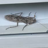 Review photo of River Camground — Jonathan Dickinson State Park by Adam  B., December 12, 2025