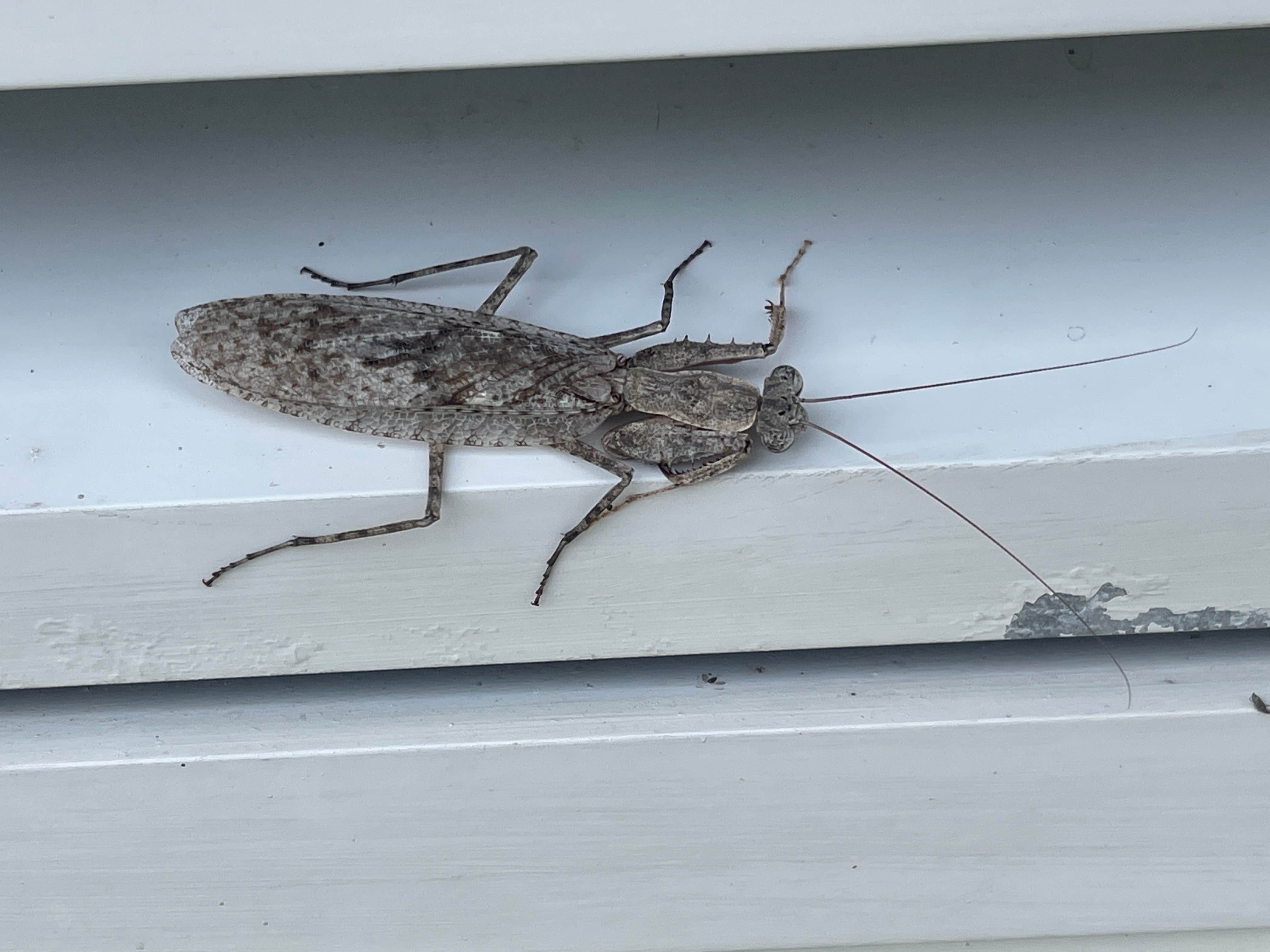 Camper submitted image from River Camground — Jonathan Dickinson State Park - 5