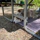 Review photo of Riverdale Farm Campsites by Emily E., May 16, 2026