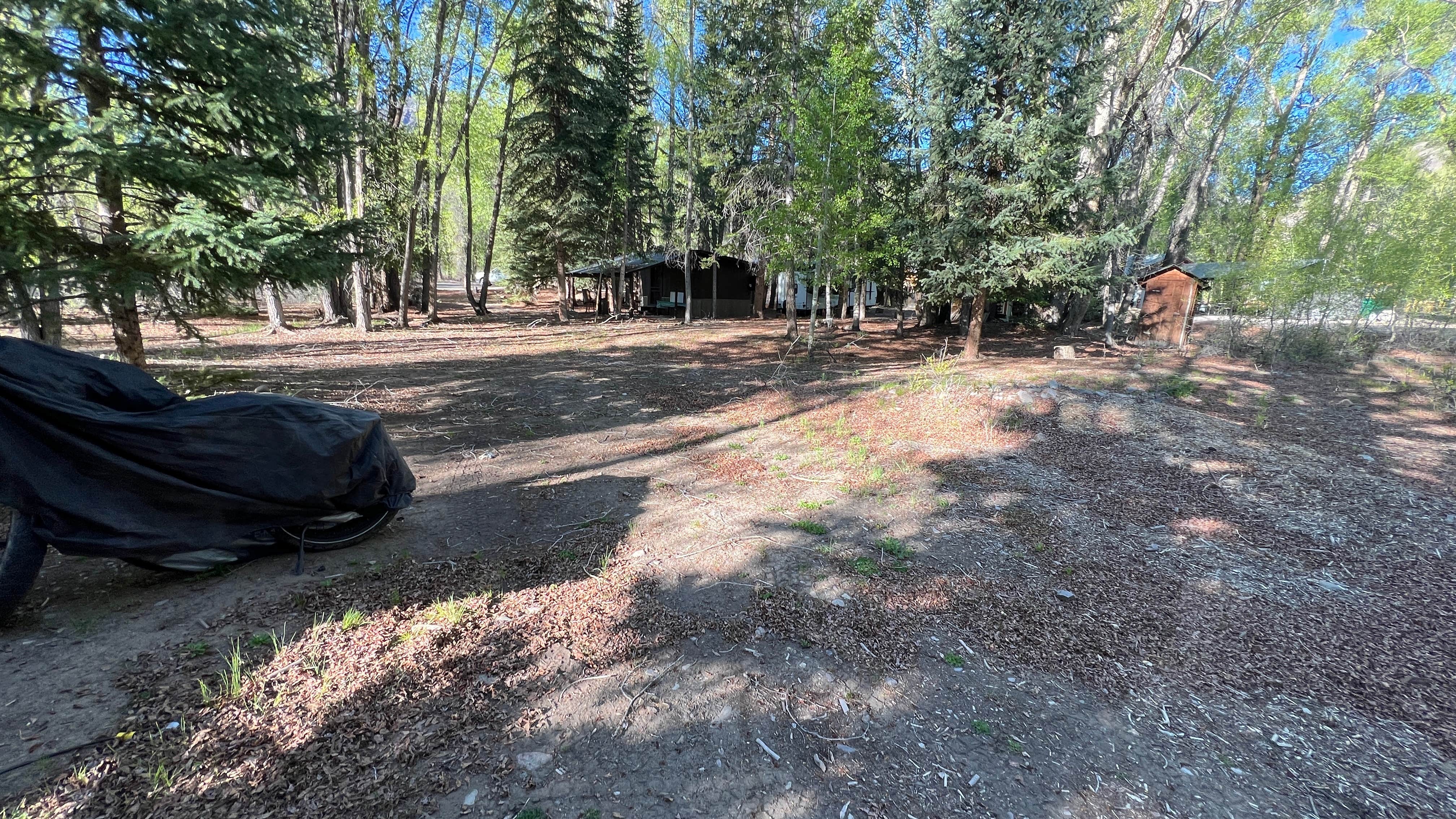 Camper-submitted photo at River Fork Camper and Trailer Park near Lake City, CO