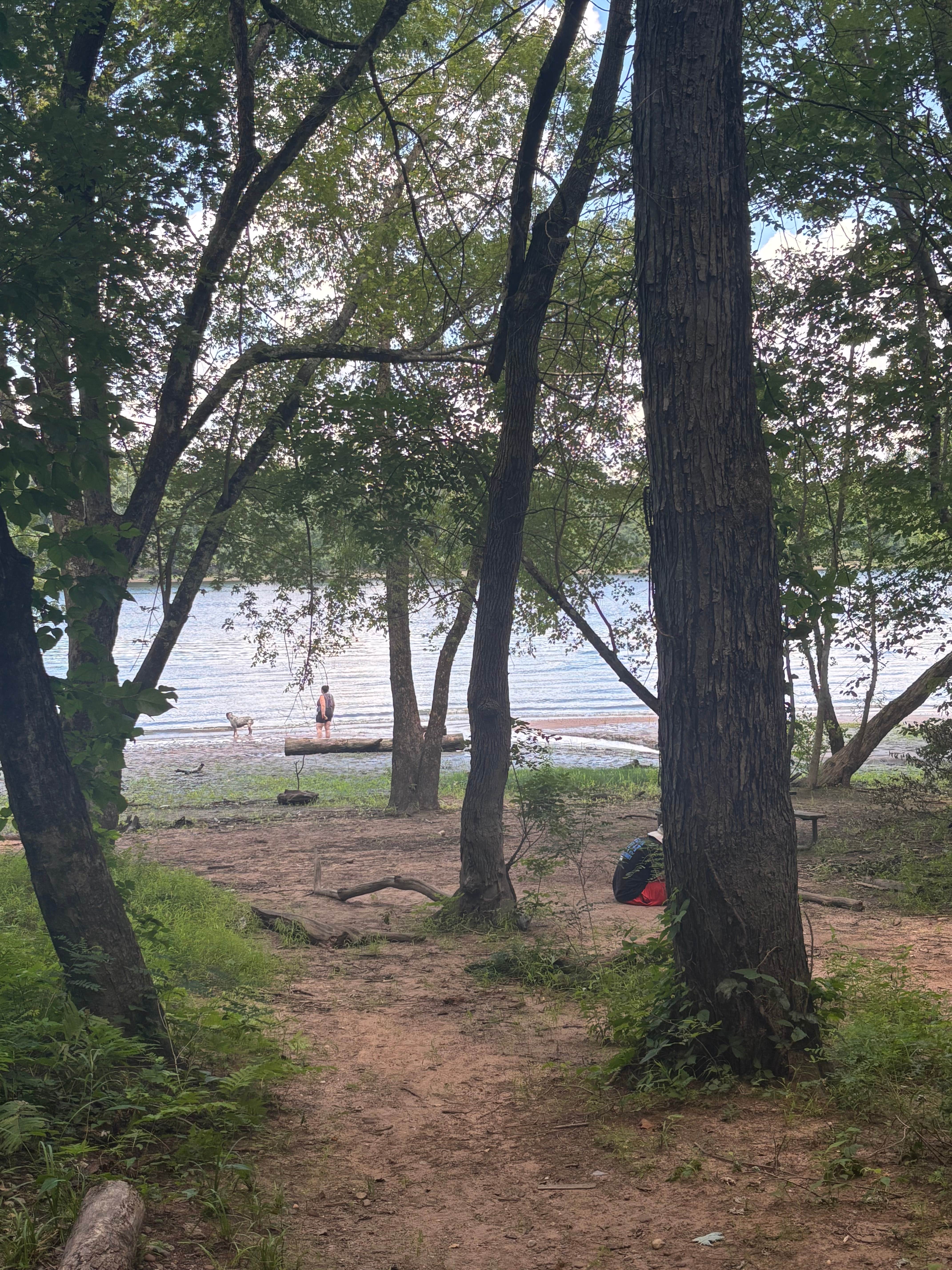 Camper-submitted photo at River Highlands State Park River Campground near Farmington, CT