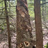 Review photo of River Highlands State Park River Campground by Alicia B., July 27, 2025