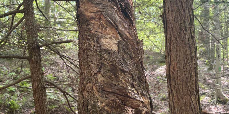 Camper submitted image from River Highlands State Park River Campground