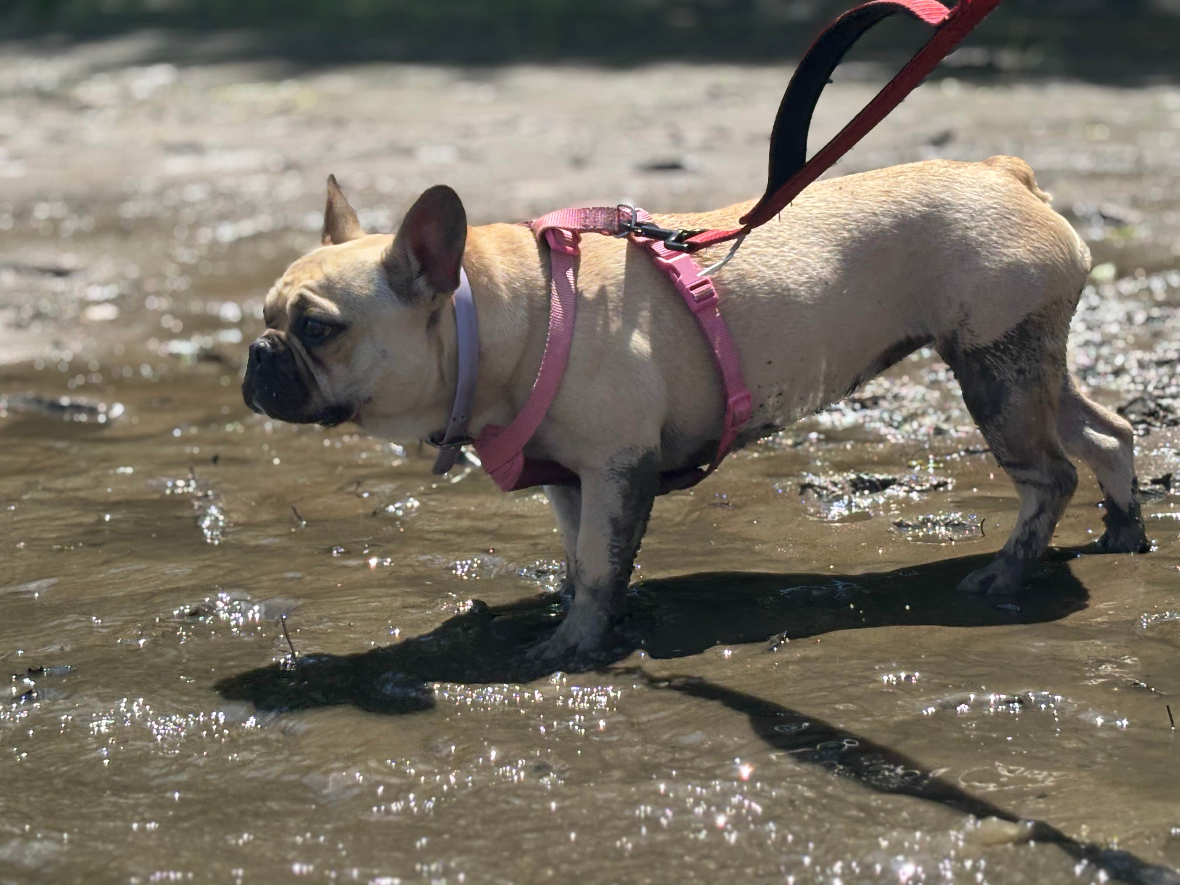 Camper-submitted photo at River Highlands State Park River Campground near Farmington, CT