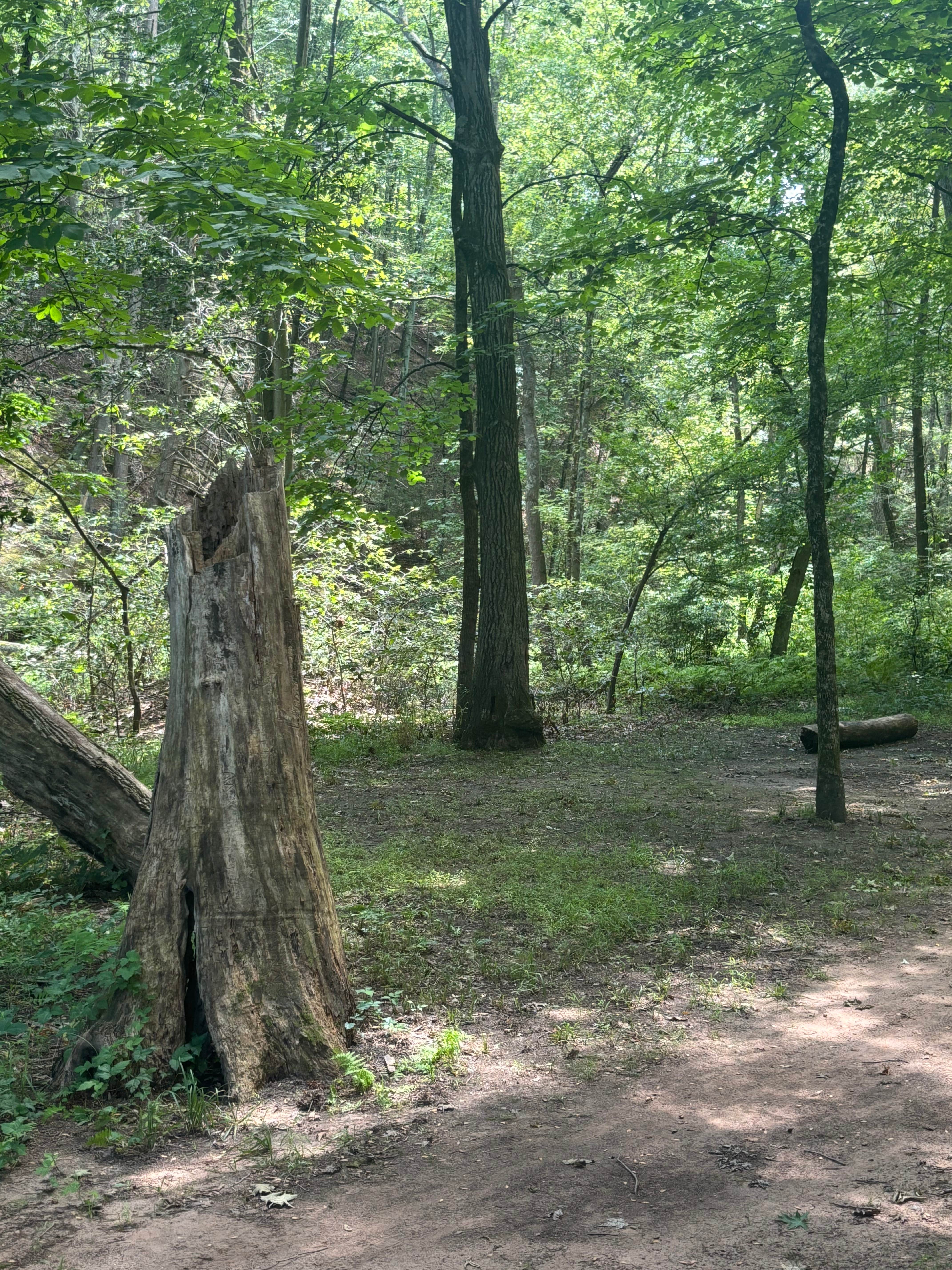 Camper-submitted photo at River Highlands State Park River Campground near Farmington, CT