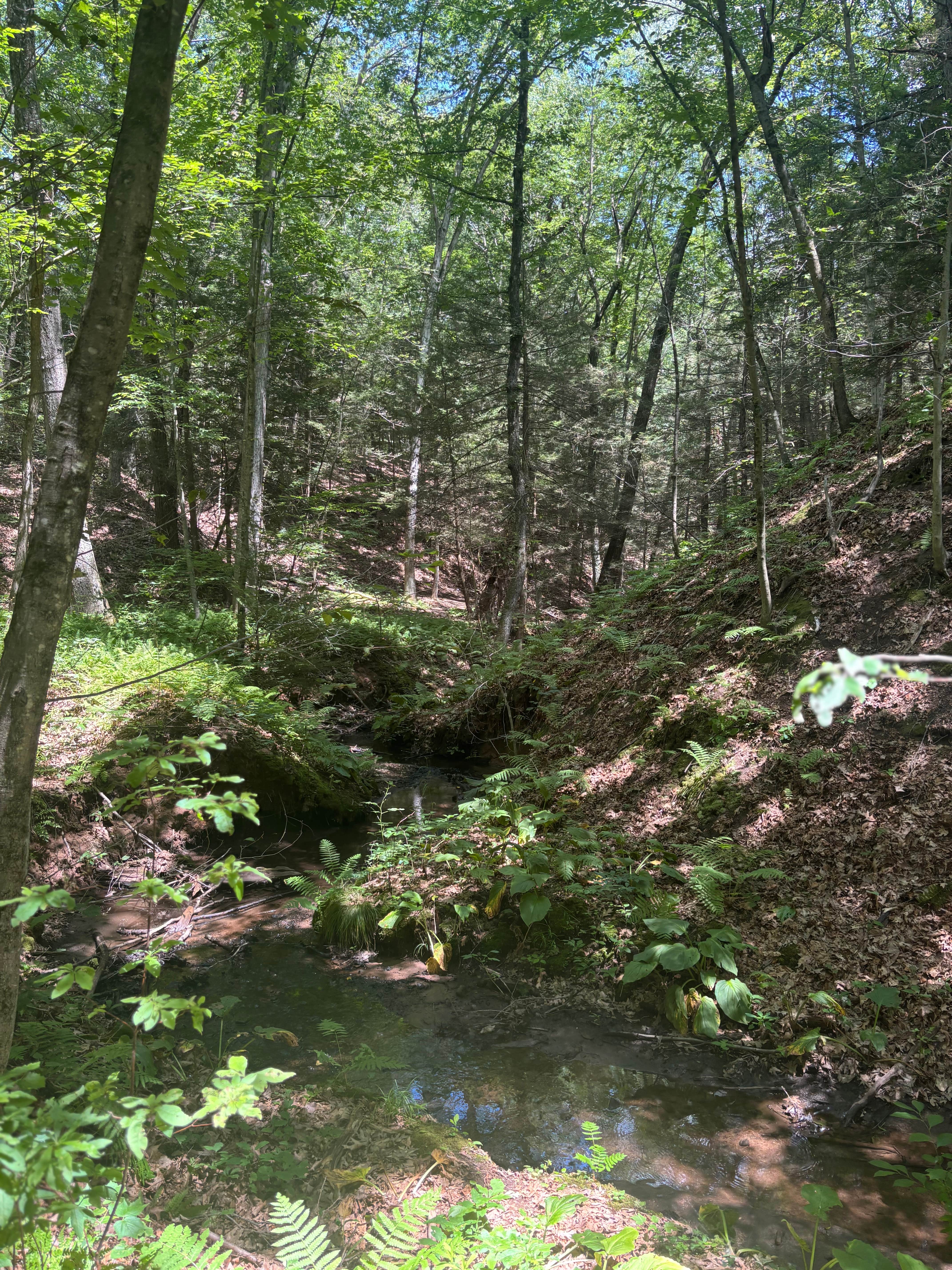 Camper-submitted photo at River Highlands State Park River Campground near Farmington, CT