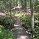 Review photo of River Highlands State Park River Campground by Alicia B., July 27, 2025