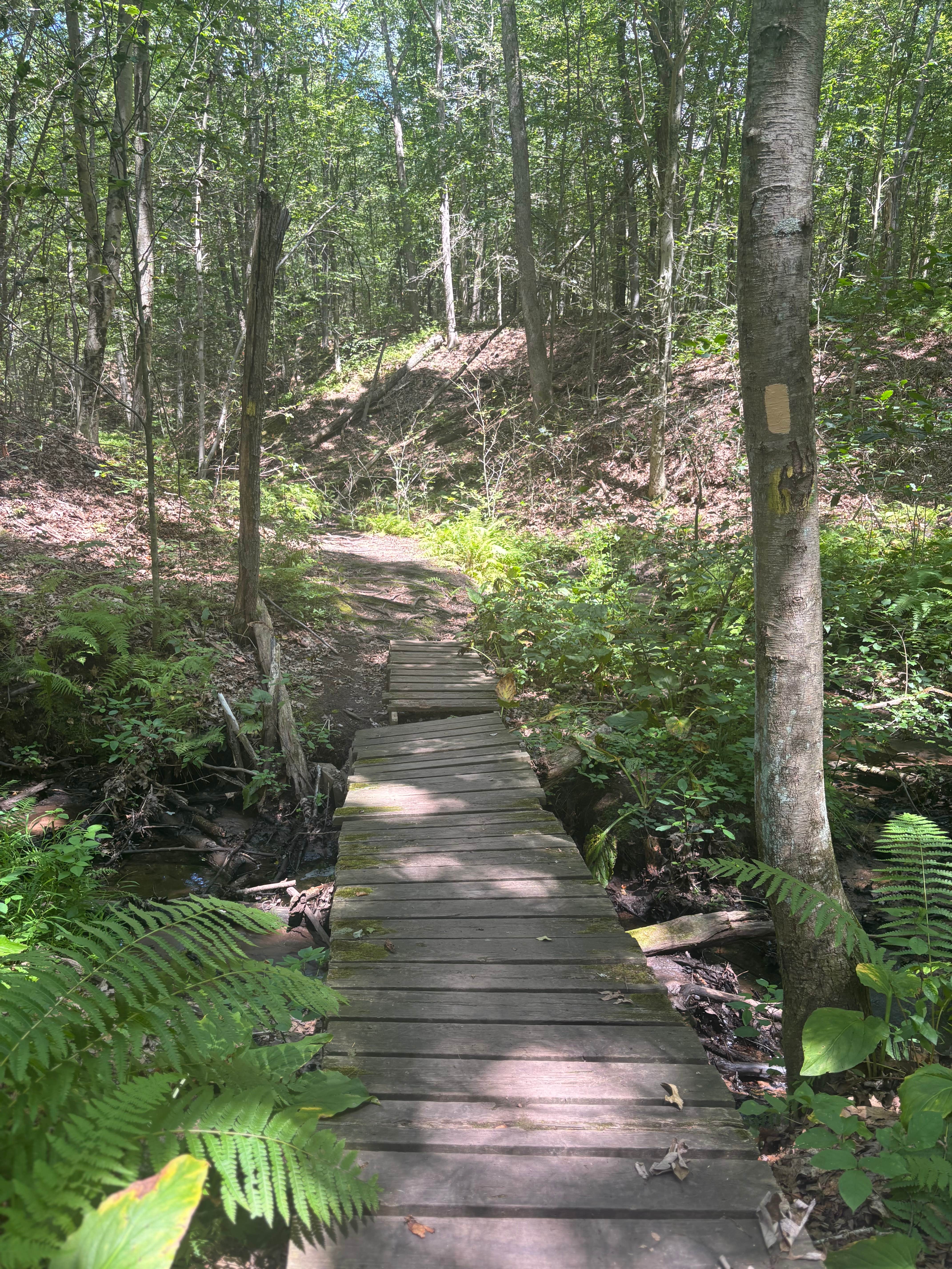 Camper submitted image from River Highlands State Park River Campground - 2