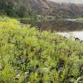 Review photo of River Junction RV Park by Carla S., September 4, 2026