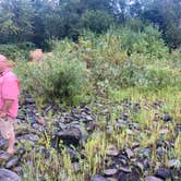 Review photo of River Junction RV Park by Carla S., September 4, 2026