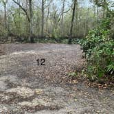 Review photo of River Junction Campground - Withlacoochee State Forest by Roger W., January 9, 2025