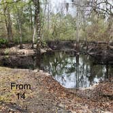 Review photo of River Junction Campground - Withlacoochee State Forest by Roger W., January 9, 2025