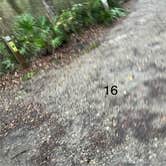 Review photo of River Junction Campground - Withlacoochee State Forest by Roger W., January 9, 2025