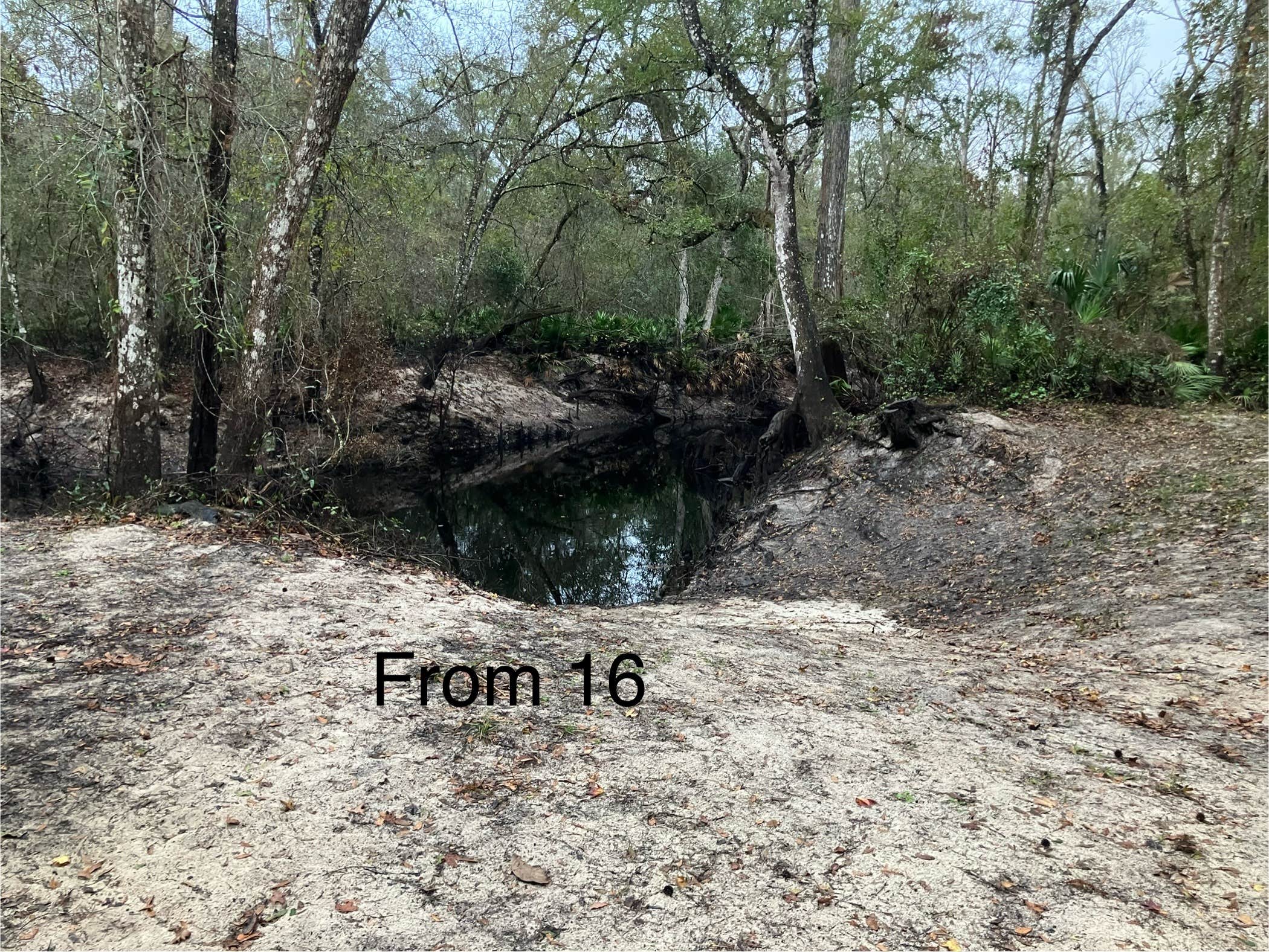 Camper-submitted photo at River Junction Campground — Withlacoochee State Forest near Lake Panasoffkee, FL