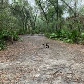 Review photo of River Junction Campground - Withlacoochee State Forest by Roger W., January 9, 2025