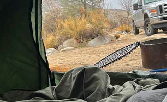 Makenna R.'s photo of camping with pets at Kern's River Edge Campground near Posey, CA