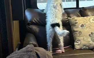 Jim C.'s photo of camping with pets at River Oaks RV Park near Des Moines, IA