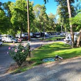 Review photo of Riverpark RV Resort by Tjitte F., June 27, 2024