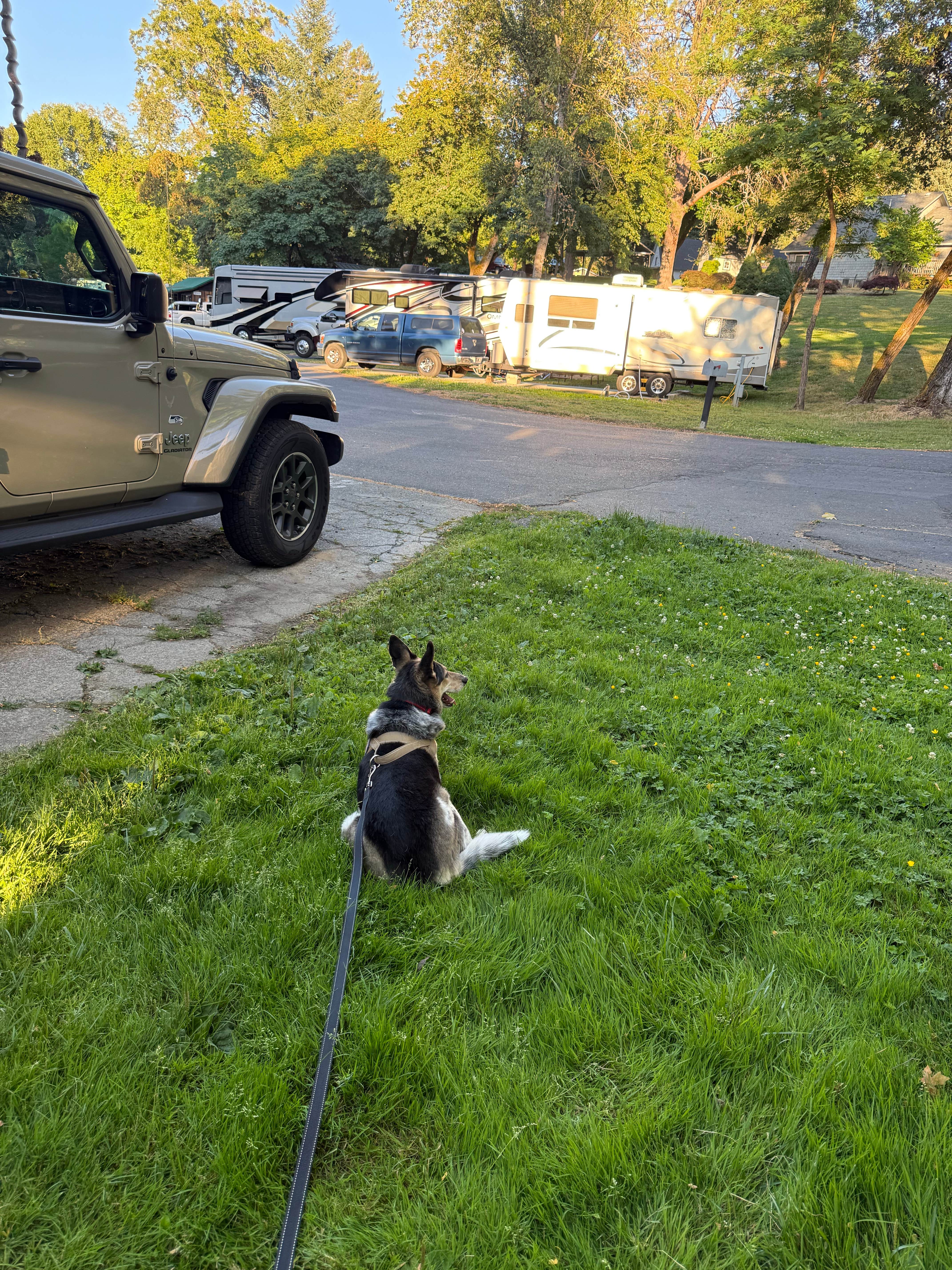 irma C.'s photo of camping with pets at Riverpark RV Resort near Grants Pass, OR