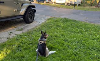 irma C.'s photo of camping with pets at Riverpark RV Resort near Central Point, OR