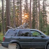 Review photo of River Point Lolo Campground (Mt) — Lolo National Forest by Glen B., July 27, 2026