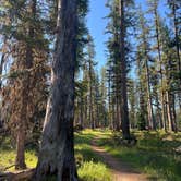 Review photo of River Point Lolo Campground (Mt) — Lolo National Forest by Kaimy M., July 4, 2025