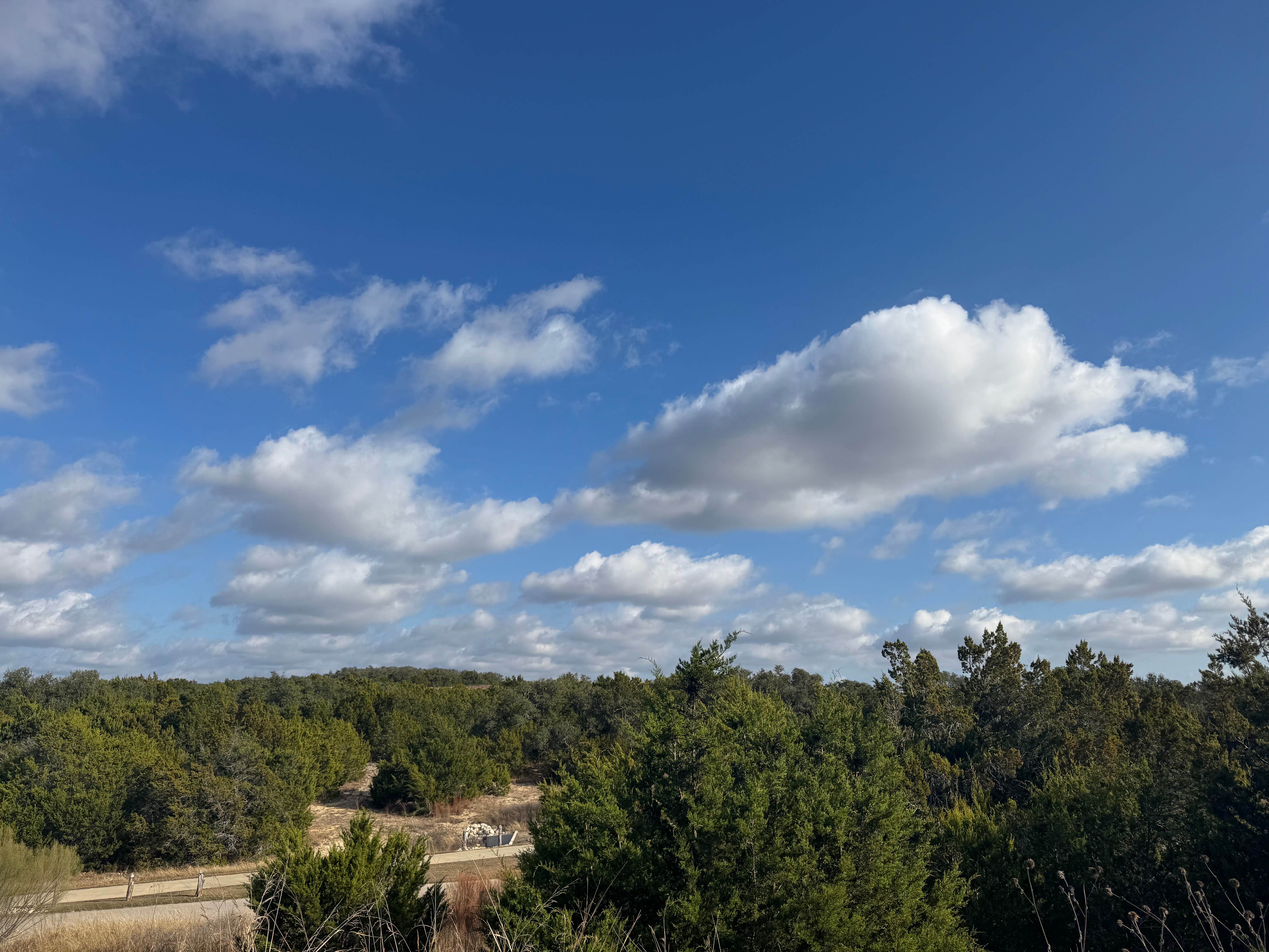 Camper-submitted photo at River Ranch County Park near Liberty Hill, TX