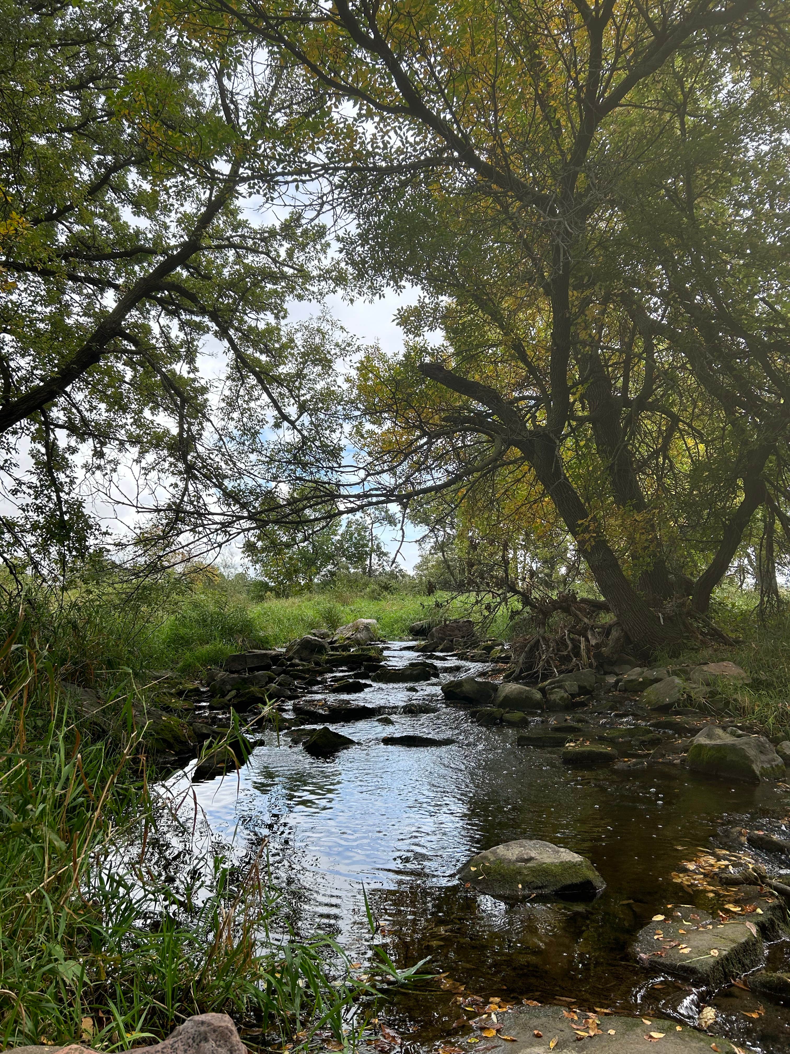 Camping near Hawkeye Point campground: River Road Campground, Luverne, Minnesota