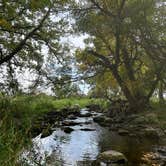 Review photo of River Road Campground by Shirlee A., September 21, 2025