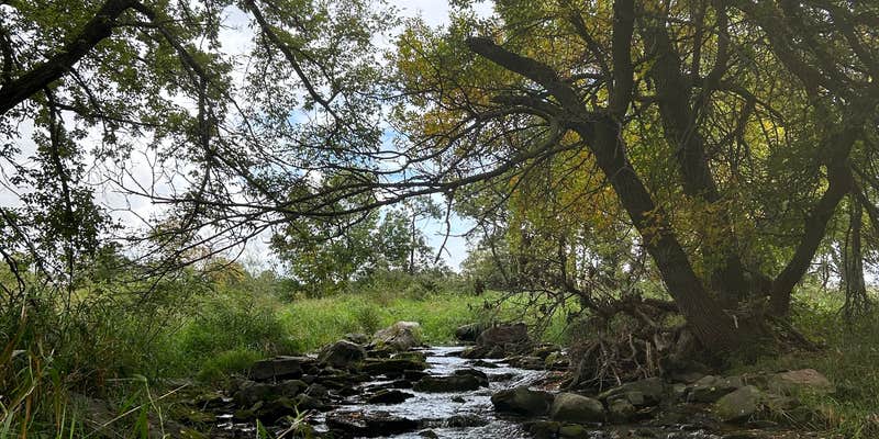 Camper submitted image from River Road Campground